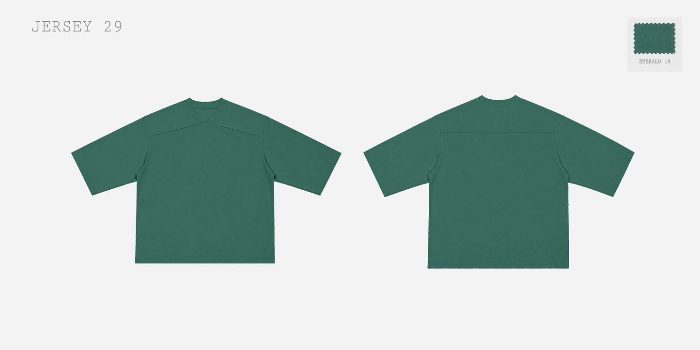 JERSEY 29