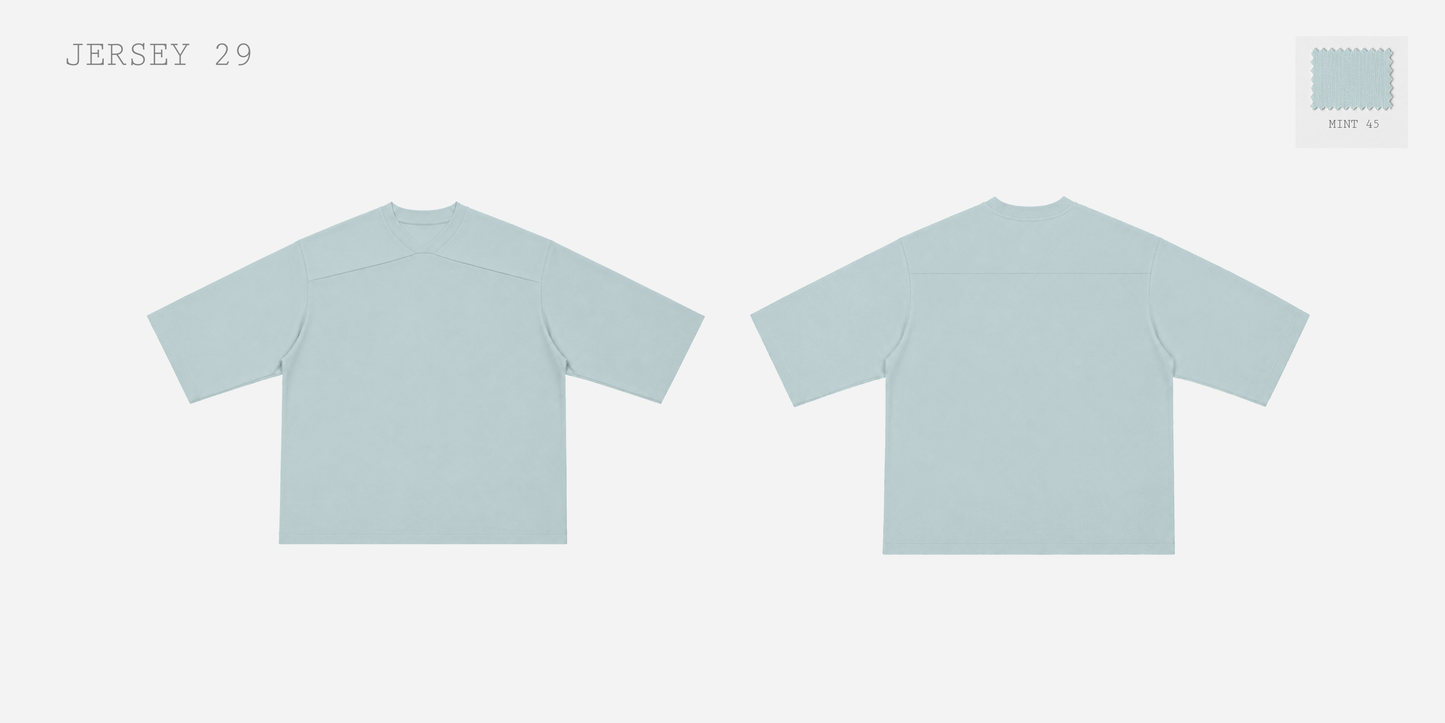 JERSEY 29